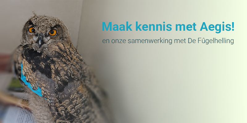 Banner Aegis De Fugelhelling