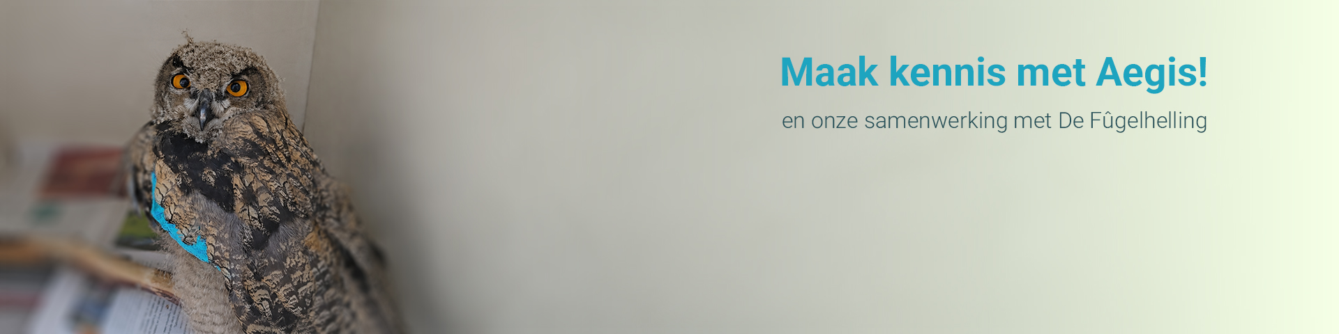 Banner Aegis De Fugelhelling